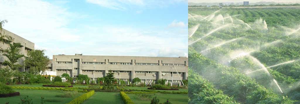 Narendra Deva University of Agriculture and Technology
