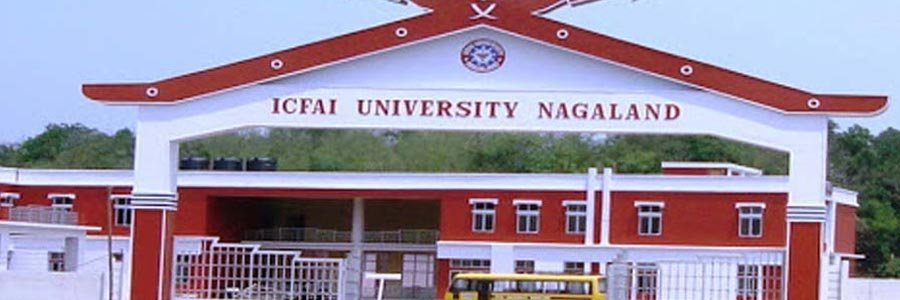 ICFAI University Nagaland Exam Result 2024 At Iunagaland.edu.in