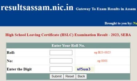 Assam HSLC Result 2023