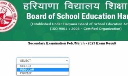 HBSE 10th Result 2023