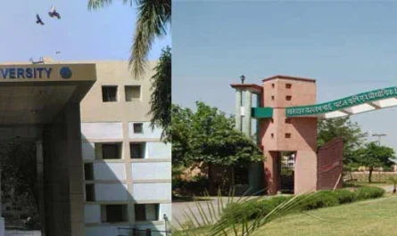 sarda patel university